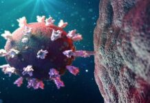 Novas variantes do coronavírus têm maiores ‘poderes de propagação’ e cuidados preventivos devem ser mantidos, diz secretário na Paraíba novas-variantes-do-coronavirus-tem-maiores-poderes-de-propagacao-e-cuidados-preventivos-devem-ser-mantidos-diz-secretario-na-paraiba